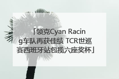 领克Cyan Racing车队再获佳绩 TCR世巡赛西班牙站包揽六座奖杯