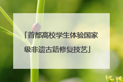 首都高校学生体验国家级非遗古籍修复技艺