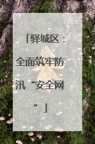 驿城区：全面筑牢防汛“安全网”