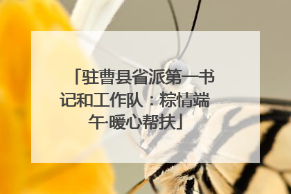 驻曹县省派第一书记和工作队：粽情端午·暖心帮扶