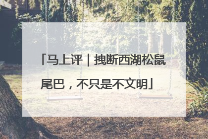 马上评｜拽断西湖松鼠尾巴，不只是不文明