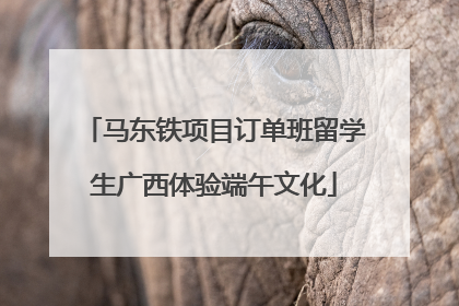 马东铁项目订单班留学生广西体验端午文化