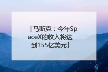 马斯克：今年SpaceX的收入将达到155亿美元