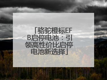 骆驼橙标EFB启停电池：引领高性价比启停电池新选择