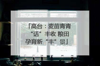 高台：麦苗青青“话”丰收 粮田孕育新“丰”景
