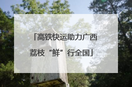 高铁快运助力广西荔枝“鲜”行全国