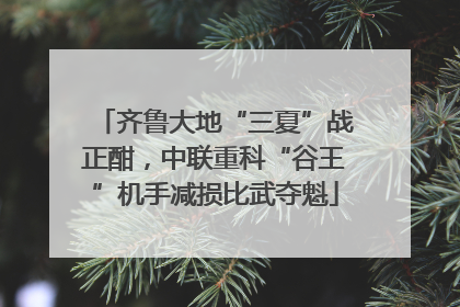 齐鲁大地“三夏”战正酣，中联重科“谷王”机手减损比武夺魁