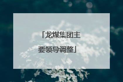 龙煤集团主要领导调整
