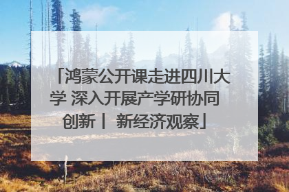 鸿蒙公开课走进四川大学 深入开展产学研协同创新丨 新经济观察