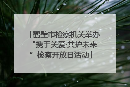 鹤壁市检察机关举办“携手关爱·共护未来”检察开放日活动