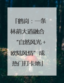 鹤岗：一条林荫大道融合“自然风光＋欧陆风情”成热门打卡地