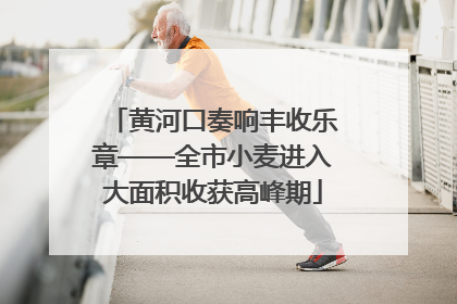 黄河口奏响丰收乐章——全市小麦进入大面积收获高峰期