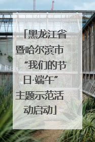 黑龙江省暨哈尔滨市“我们的节日·端午”主题示范活动启动