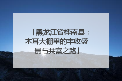黑龙江省桦南县：木耳大棚里的丰收盛景与共富之路