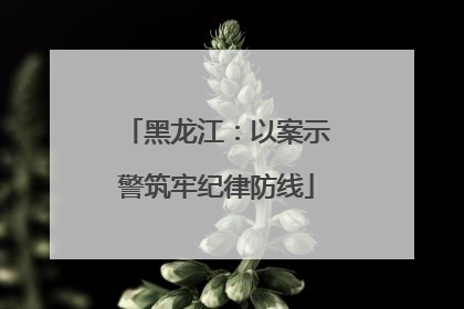 黑龙江：以案示警筑牢纪律防线