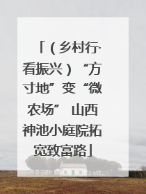 （乡村行·看振兴）“方寸地”变“微农场” 山西神池小庭院拓宽致富路