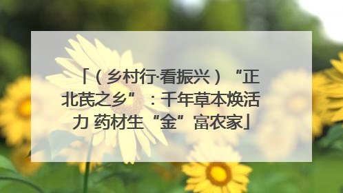 （乡村行·看振兴）“正北芪之乡”：千年草本焕活力 药材生“金”富农家