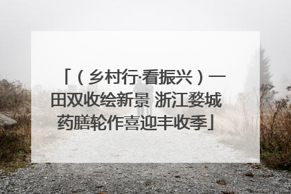 （乡村行·看振兴）一田双收绘新景 浙江婺城药膳轮作喜迎丰收季