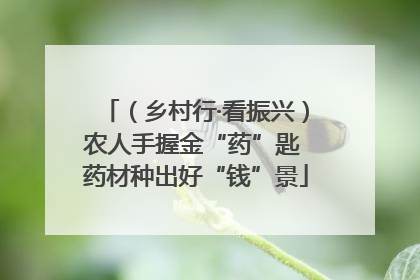 （乡村行·看振兴）农人手握金“药”匙 药材种出好“钱”景