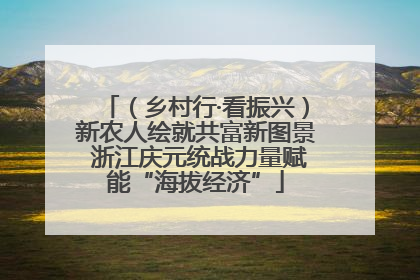 （乡村行·看振兴）新农人绘就共富新图景 浙江庆元统战力量赋能“海拔经济”