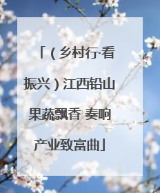 （乡村行·看振兴）江西铅山果蔬飘香 奏响产业致富曲