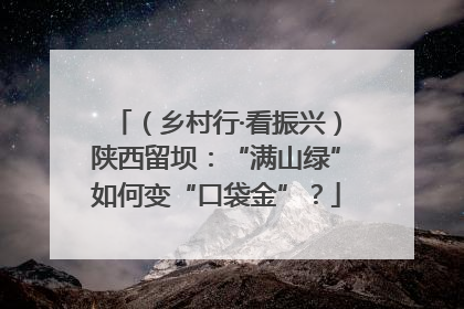 （乡村行·看振兴）陕西留坝：“满山绿”如何变“口袋金”？