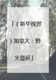 （新华视界）加拿大：野火蔓延