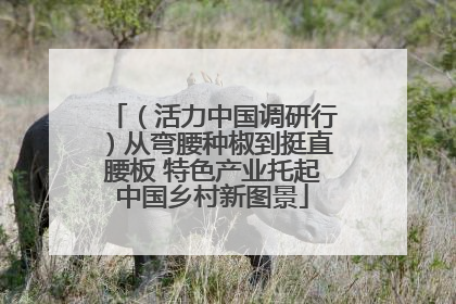 （活力中国调研行）从弯腰种椒到挺直腰板 特色产业托起中国乡村新图景