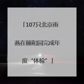 107只北京雨燕在颐和园完成年度“体检”
