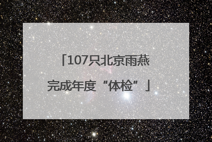 107只北京雨燕完成年度“体检”