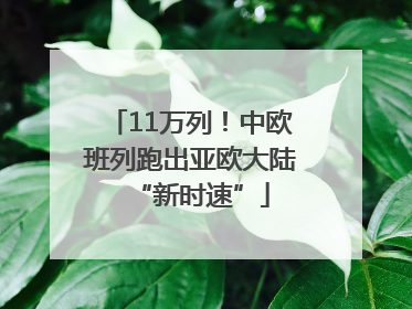 11万列！中欧班列跑出亚欧大陆“新时速”