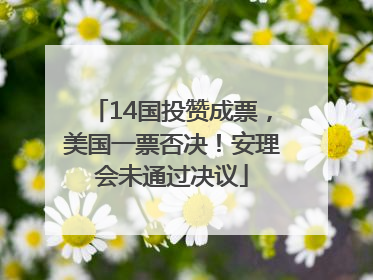 14国投赞成票，美国一票否决！安理会未通过决议
