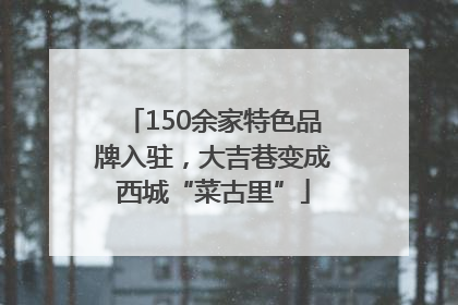 150余家特色品牌入驻，大吉巷变成西城“菜古里”