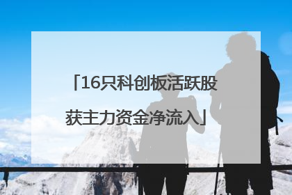 16只科创板活跃股获主力资金净流入