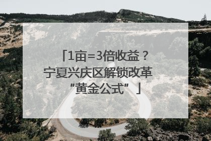 1亩=3倍收益？宁夏兴庆区解锁改革“黄金公式”