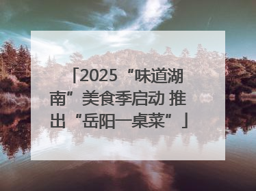 2025“味道湖南”美食季启动 推出“岳阳一桌菜”