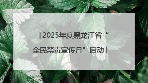 2025年度黑龙江省“全民禁毒宣传月”启动