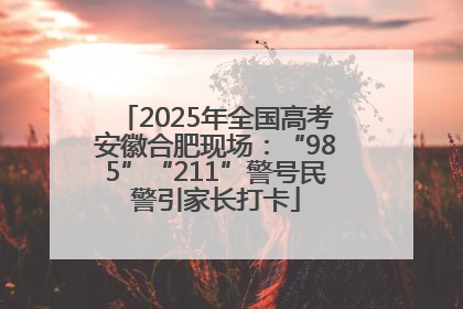 2025年全国高考安徽合肥现场：“985”“211”警号民警引家长打卡