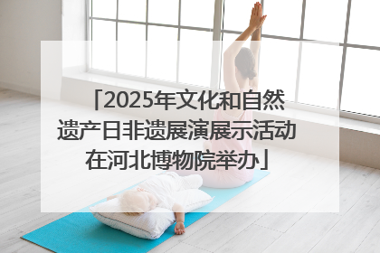 2025年文化和自然遗产日非遗展演展示活动在河北博物院举办