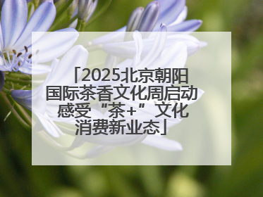 2025北京朝阳国际茶香文化周启动 感受“茶+”文化消费新业态