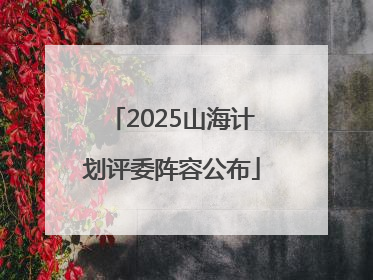 2025山海计划评委阵容公布