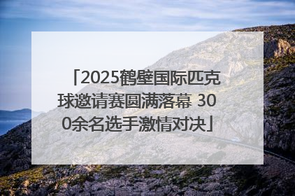 2025鹤壁国际匹克球邀请赛圆满落幕 300余名选手激情对决