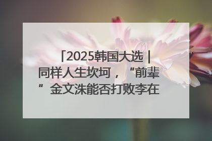 2025韩国大选｜同样人生坎坷，“前辈”金文洙能否打败李在明“逆风翻盘”？