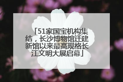 51家国宝机构集结，长沙博物馆迁建新馆以来最高规格长江文明大展启幕
