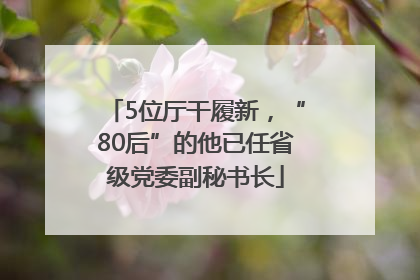 5位厅干履新，“80后”的他已任省级党委副秘书长