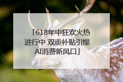 618年中狂欢火热进行中 双重补贴引爆AI消费新风口