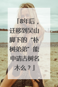 8年后，迁移到吴山脚下的“朴树弟弟”能申请古树名木么？