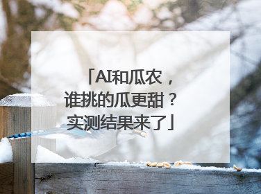 AI和瓜农，谁挑的瓜更甜？实测结果来了