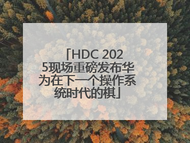 HDC 2025现场重磅发布华为在下一个操作系统时代的棋
