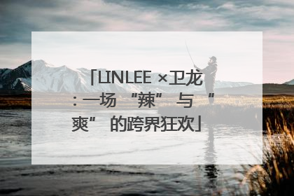 LINLEE ×卫龙：一场 “辣” 与 “爽” 的跨界狂欢
